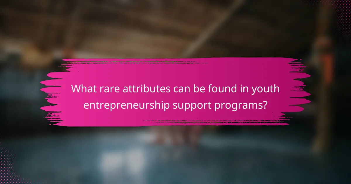 What rare attributes can be found in youth entrepreneurship support programs?